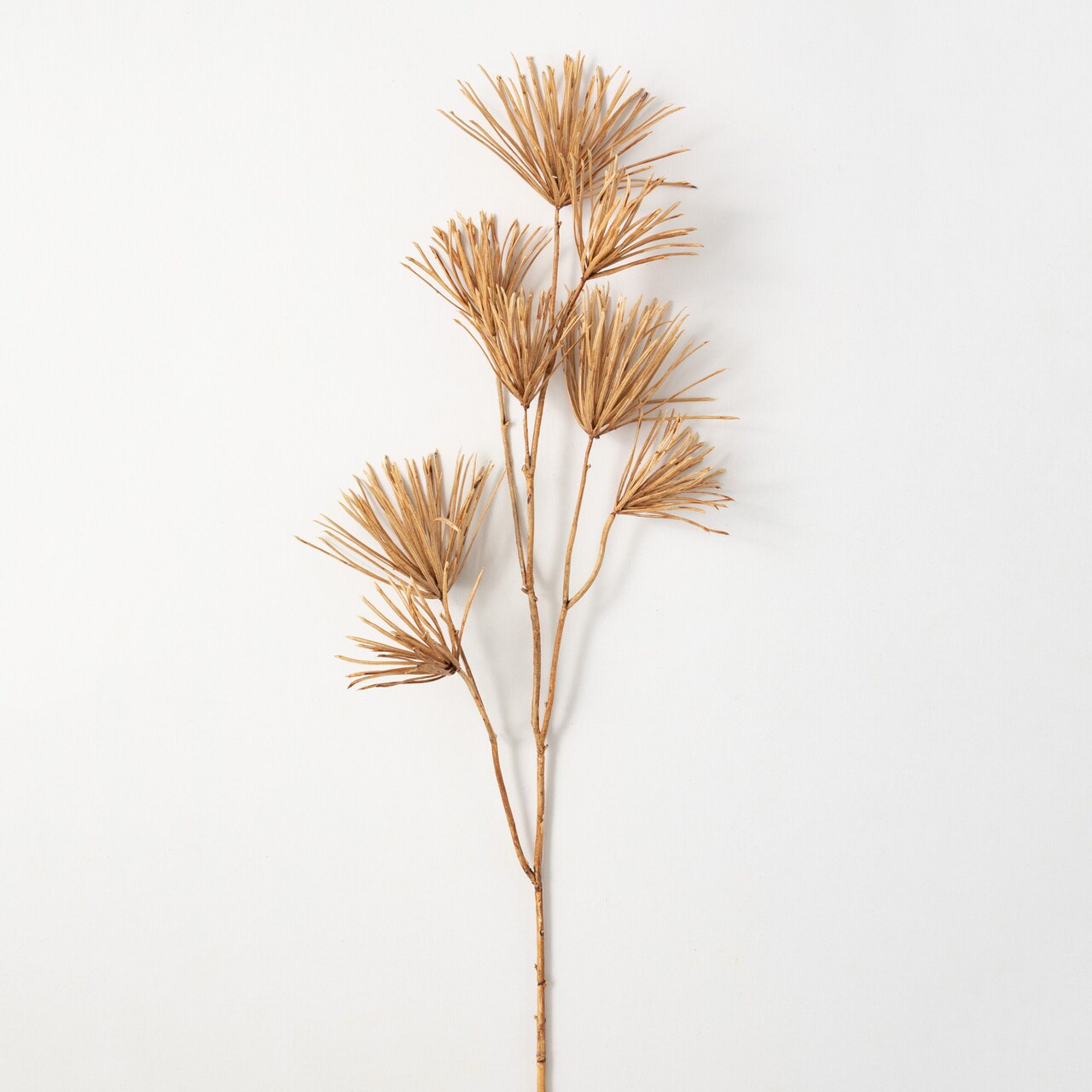 Sullivan's Podocarpus Stem, Brown Faux Floral Stem for Crafting, Weddings, Home and Holiday Decoration, 42 Inch